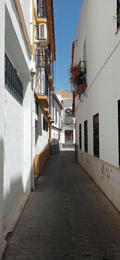 Apartamento Casco Historico Con Atico. Apartment Sevilla Exterior foto